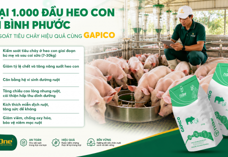 Trại 1.000 đầu heo con tại Bình Phước kiểm soát tiêu chảy hiệu quả cùng GAPICO
